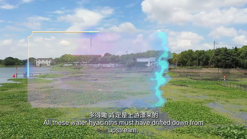 Stories of High-Quality Development | Keeping the Taipu River crystal clear