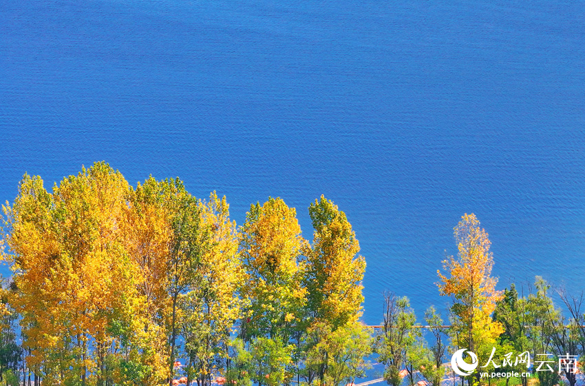 Romantic autumn scenery at Erhai Lake in Dali, SW China's Yunnan
