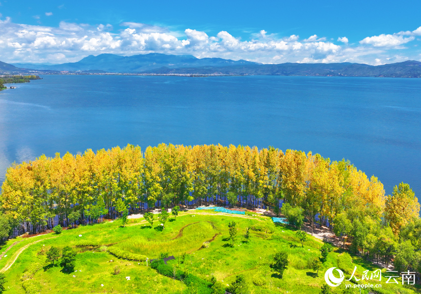 Romantic autumn scenery at Erhai Lake in Dali, SW China's Yunnan