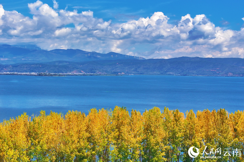 Romantic autumn scenery at Erhai Lake in Dali, SW China's Yunnan