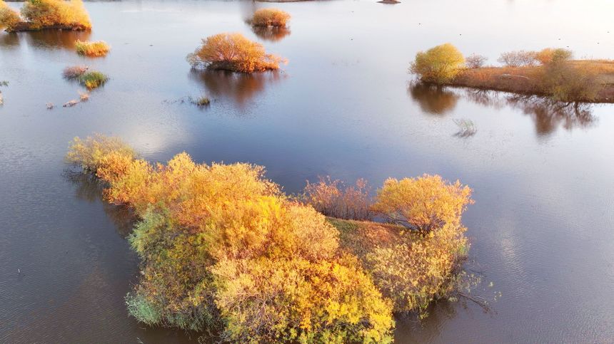 Enchanting autumn scenery in Suihua, NE China's Heilongjiang