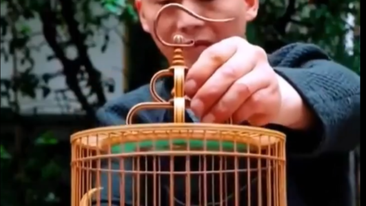 Trending in China | A world woven in bamboo: Sichuan-style birdcages