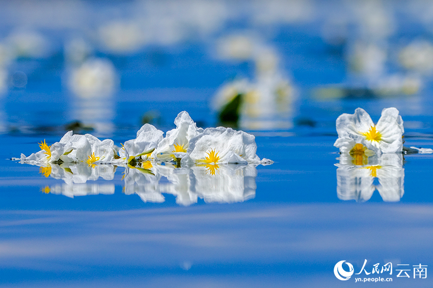 Breathtaking views of Erhai Lake in SW China's Yunnan