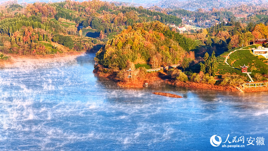 Breathtaking views of tea-themed park shrouded in morning mist in E China's Anhui
