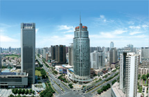 A Bird's-eye View of The Zone