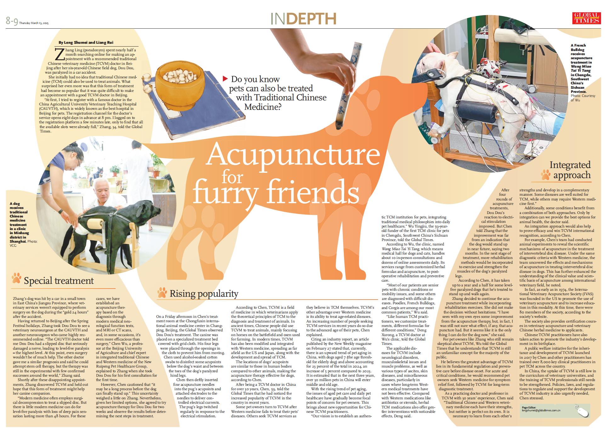 Acupuncture for furry friends