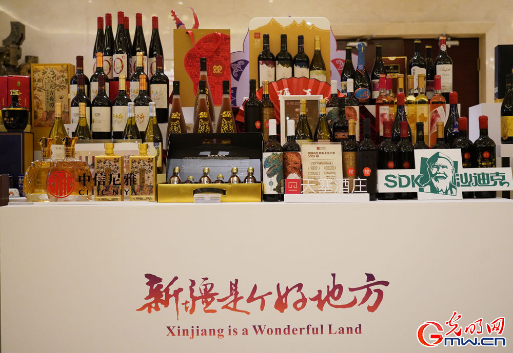 Foreign envoys praise Xinjiang's development at exchange meeting