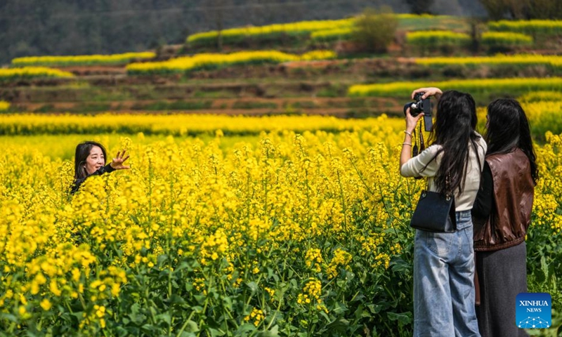 A tourist poses for photos in a rapeseed flower field in Wayao Village of Mugang Town, Liupanshui City, southwest China's Guizhou Province, March 22, 2025. More than 1,000 hectares of rapeseed flowers are in full bloom in Mugang. Photo: Xinhua