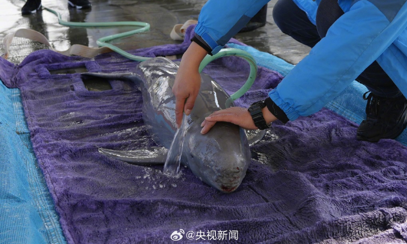 Photo: Weibo account of CCTV News